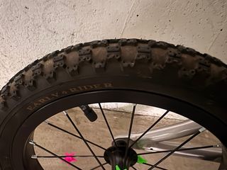 Bicicleta sin pedales Early Rider