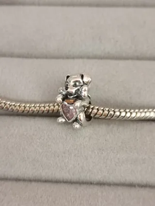 Charm cachorro perro