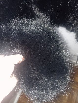 Chaquetón negro tipo visón