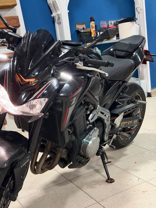 Kawasaki Z900 Full 2019