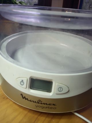 Yogurtera MOULINEX Yogurteo