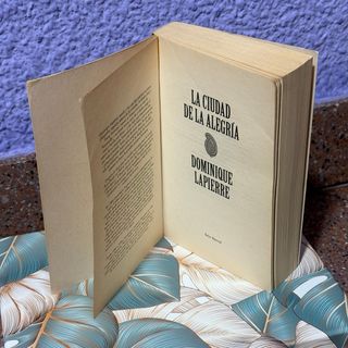 Ciudad de la alegria, la