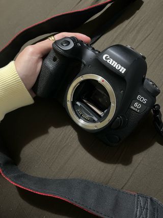 Canon EOS 6D Mark II + Obiettivo EF 24-105mm