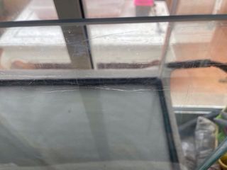 Acuario 84L con accesorios