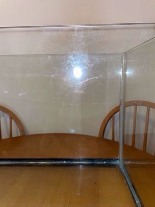 Acuario 84L con accesorios