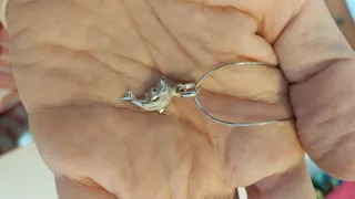 Cadena y colgante de delfín en plata