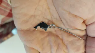 Cadena y colgante de delfín en plata