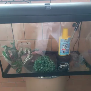 Pecera completa con luz