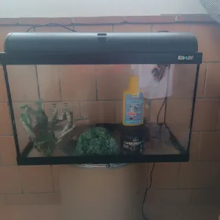 Pecera completa con luz