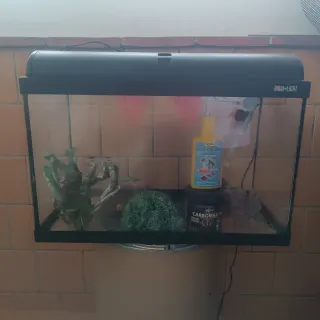 Pecera completa con luz