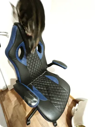 Silla Gaming RACING Negra y Azul