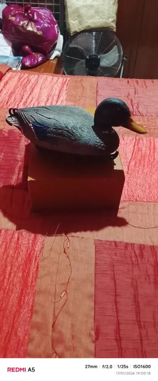 Pato señuelo pesca