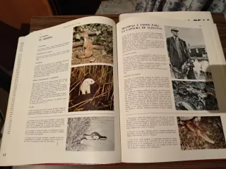 Libros Enciclopedia de la caza