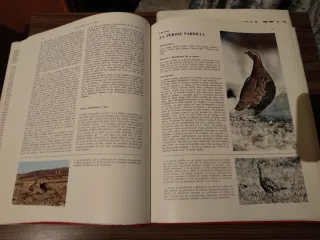 Libros Enciclopedia de la caza