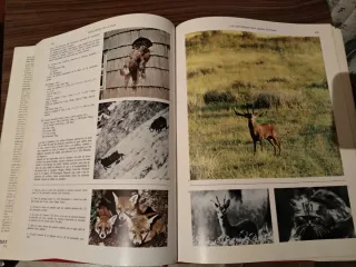 Libros Enciclopedia de la caza