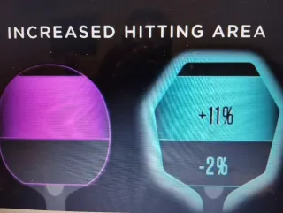 Raqueta Ping Pong Tenis de Mesa