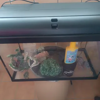 Pecera Aqua-Light Negra