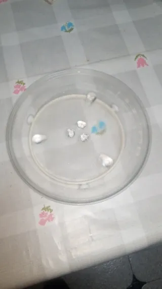 Plato giratorio microondas y aro