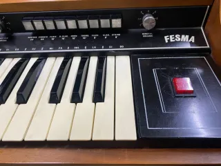 Órgano Fesma Granada 49