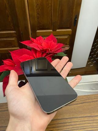 iPhone 12 Pro Max 256GB Gris