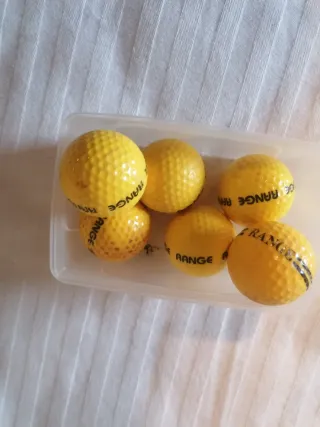 2 Palos de Golf y 6 Pelotas