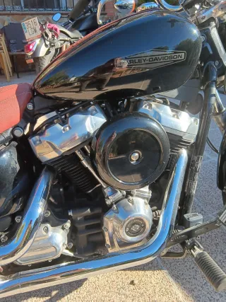 Harley Davidson Softail Standard 2021