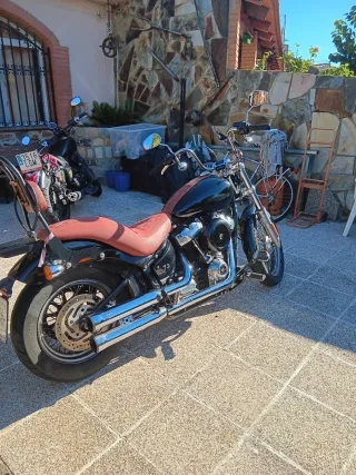 Harley Davidson Softail Standard 2021