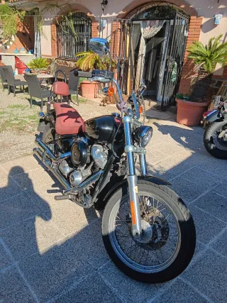 Harley Davidson Softail Standard 2021