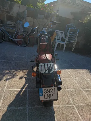 Harley Davidson Softail Standard 2021