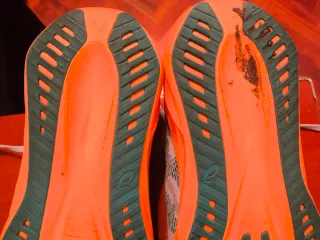 Asics Novablast Talla 44