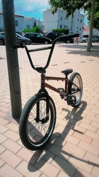 Bmx WTP
