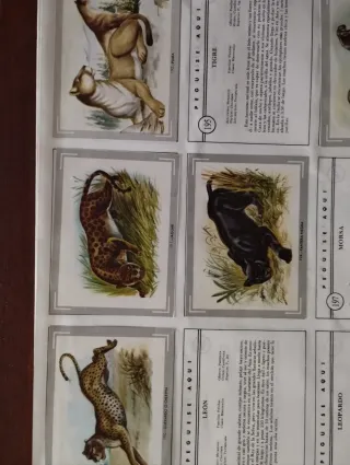 3 Álbumes Ciencias Naturales,vida y color,...