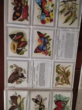 3 Álbumes Ciencias Naturales,vida y color,...