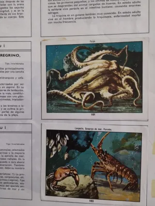 3 Álbumes Ciencias Naturales,vida y color,...