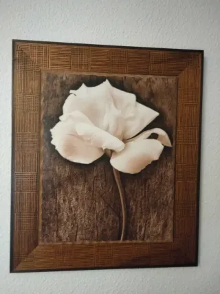 Set 3 Cuadros de madera de Flores Beige y Marrón.