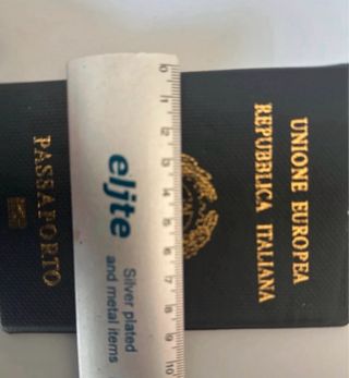 Coppia di Porta passaporti unione europea