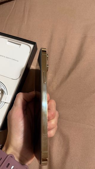 iPhone 13 Pro Max Dorado