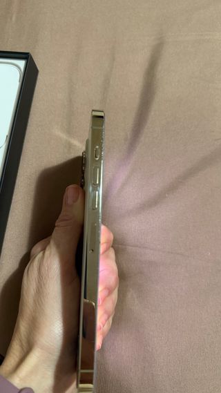 iPhone 13 Pro Max Dorado