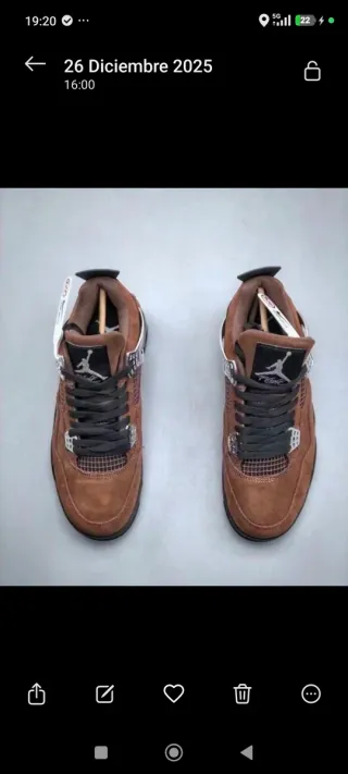 Jordan Marrones y Plateadas muchas tallas