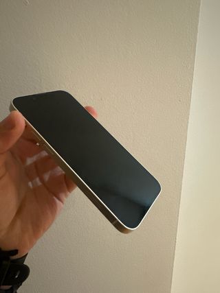 iPhone 13 mini 256GB Argento (Impeccabile)