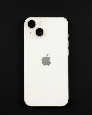 iPhone 13 mini 256GB Argento (Impeccabile)