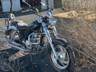 Piezas Harley Davidson Custom