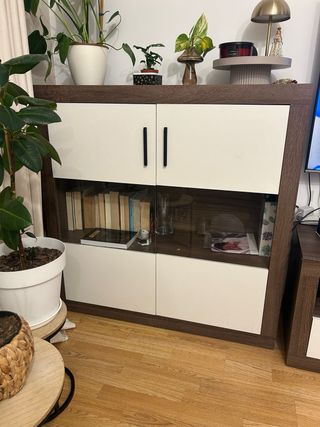 Mueble de salón con vitrina y puerta