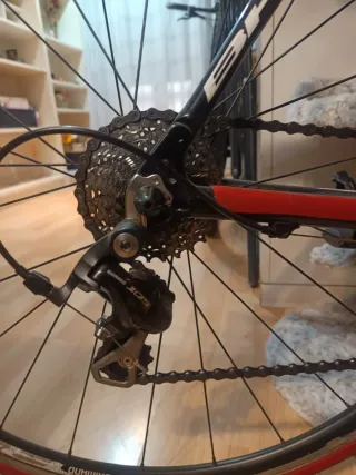 Bicicleta Carretera Carbono BH Speedrom