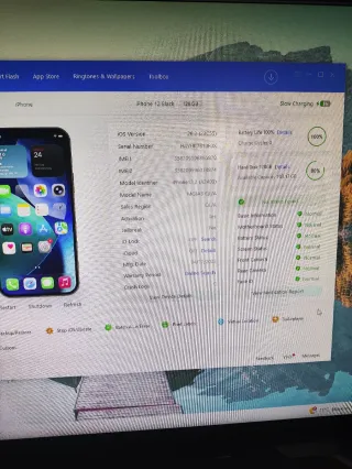 iPhone 12 + garanzia