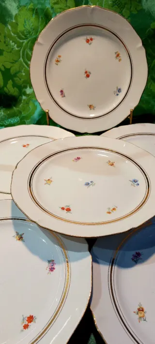 ⚜️ Platos de Porcelaine Opaque Francesa