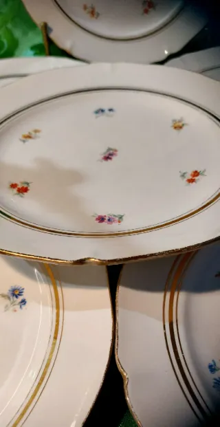 ⚜️ Platos de Porcelaine Opaque Francesa