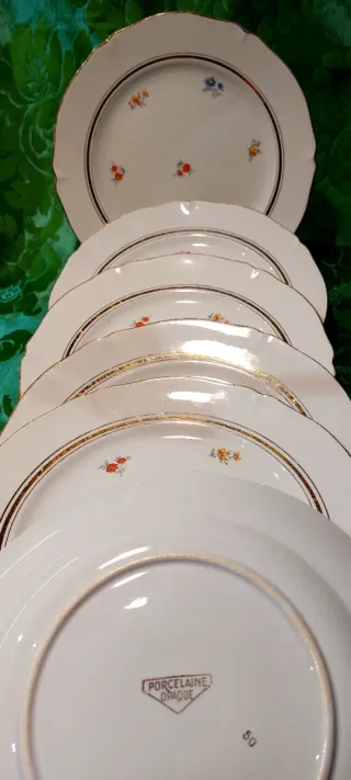 ⚜️ Platos de Porcelaine Opaque Francesa