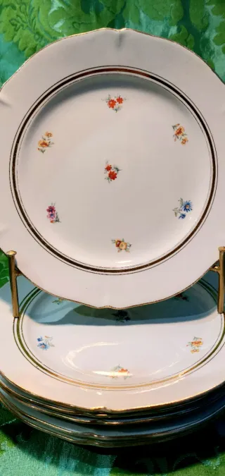 ⚜️ Platos de Porcelaine Opaque Francesa