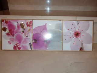 6 Cuadros Decorativos Flores y Buda